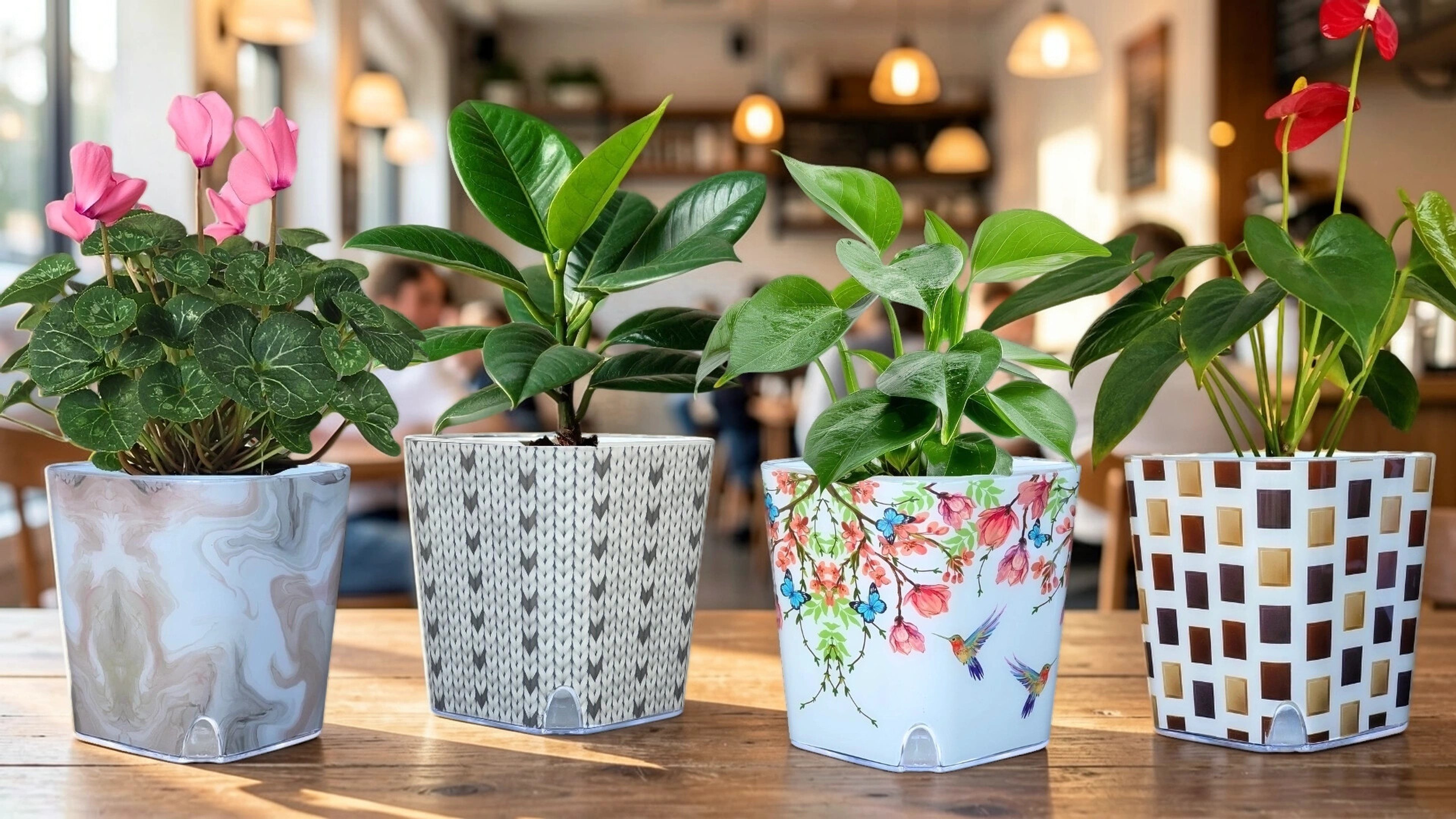 Round or Square? Styling Planters as Décor